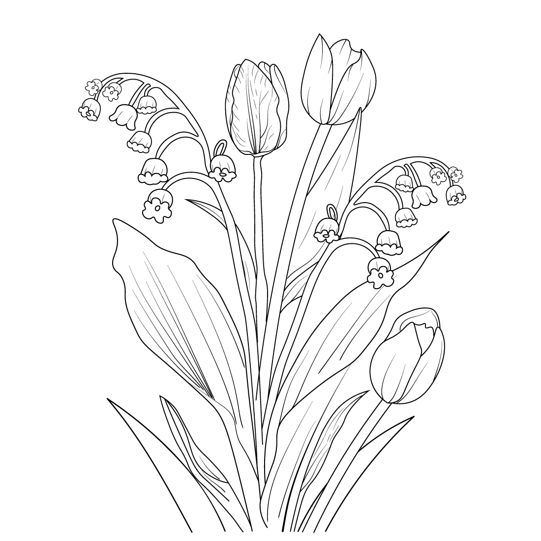 tulip illustration simple, vintage tulip illustration, tulip flower drawing, pencil realistic tulip drawing, preview image.