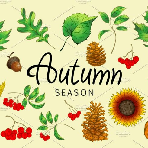 Set of colorful autumn leaves vector cover image.