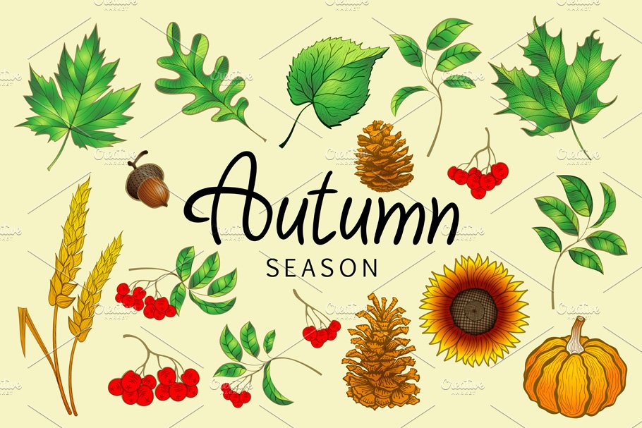 Set of colorful autumn leaves vector cover image.