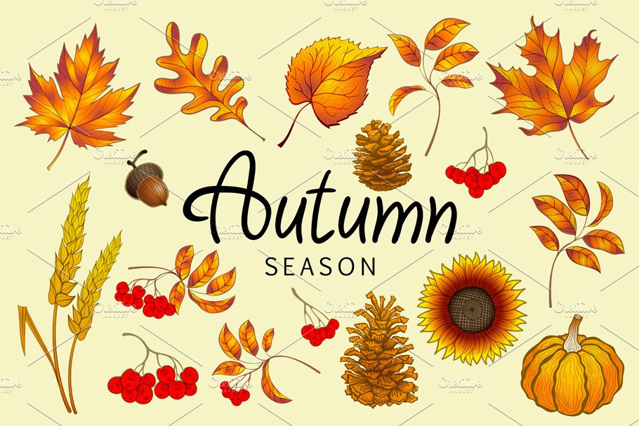 Set of colorful autumn leaves vector preview image.