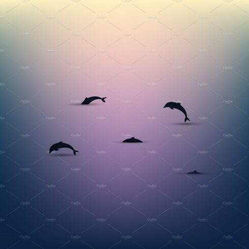 Dolphins over the water at sunset cover image.