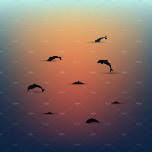 Dolphins over the water at sunset cover image.
