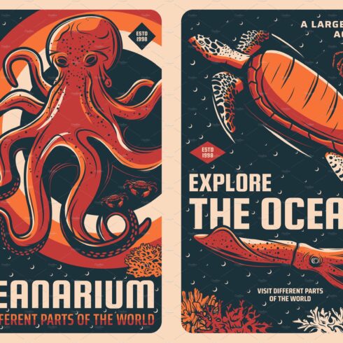 Octopus, squid, sea turtle and crab cover image.