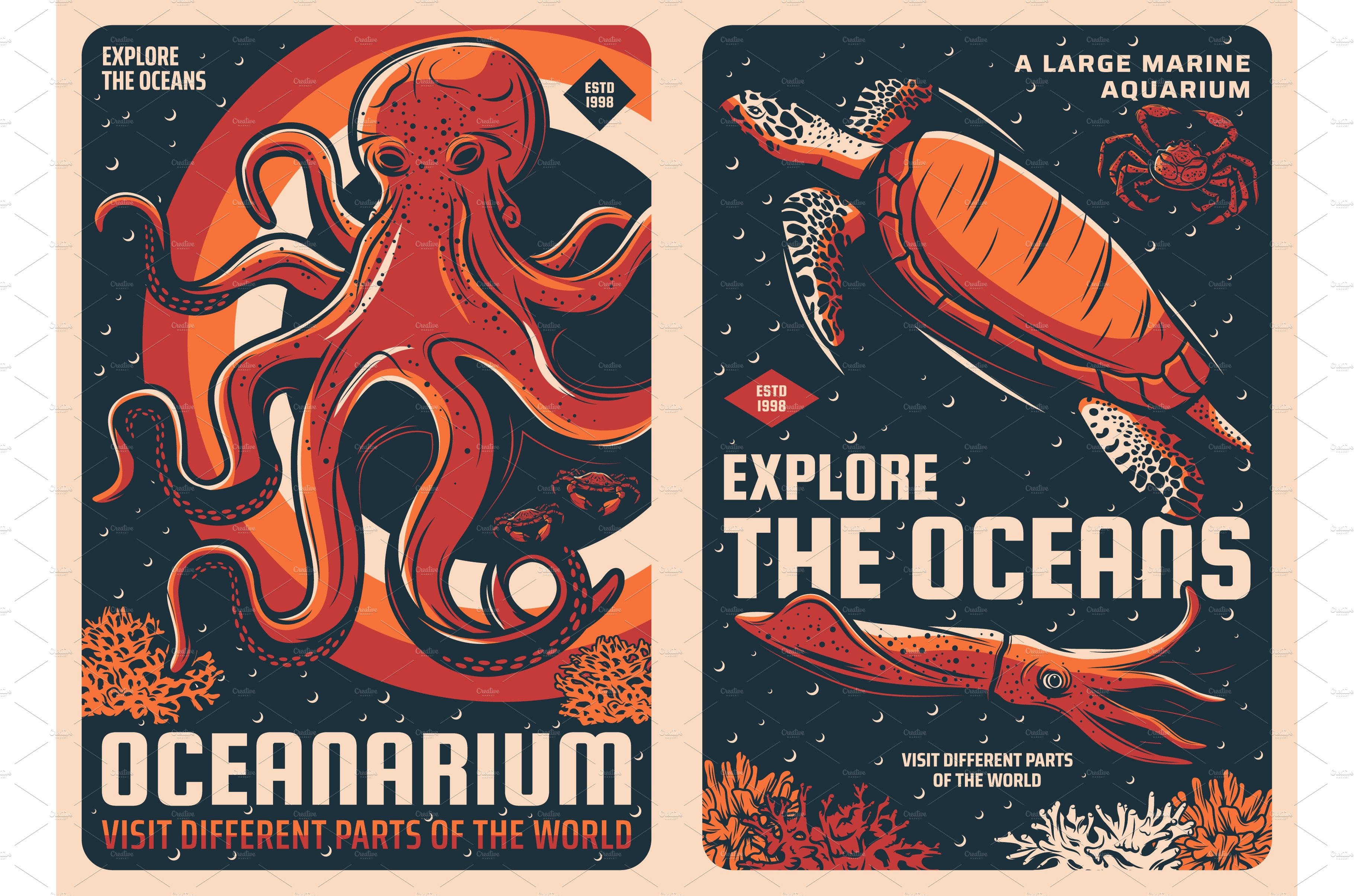 Octopus, squid, sea turtle and crab cover image.