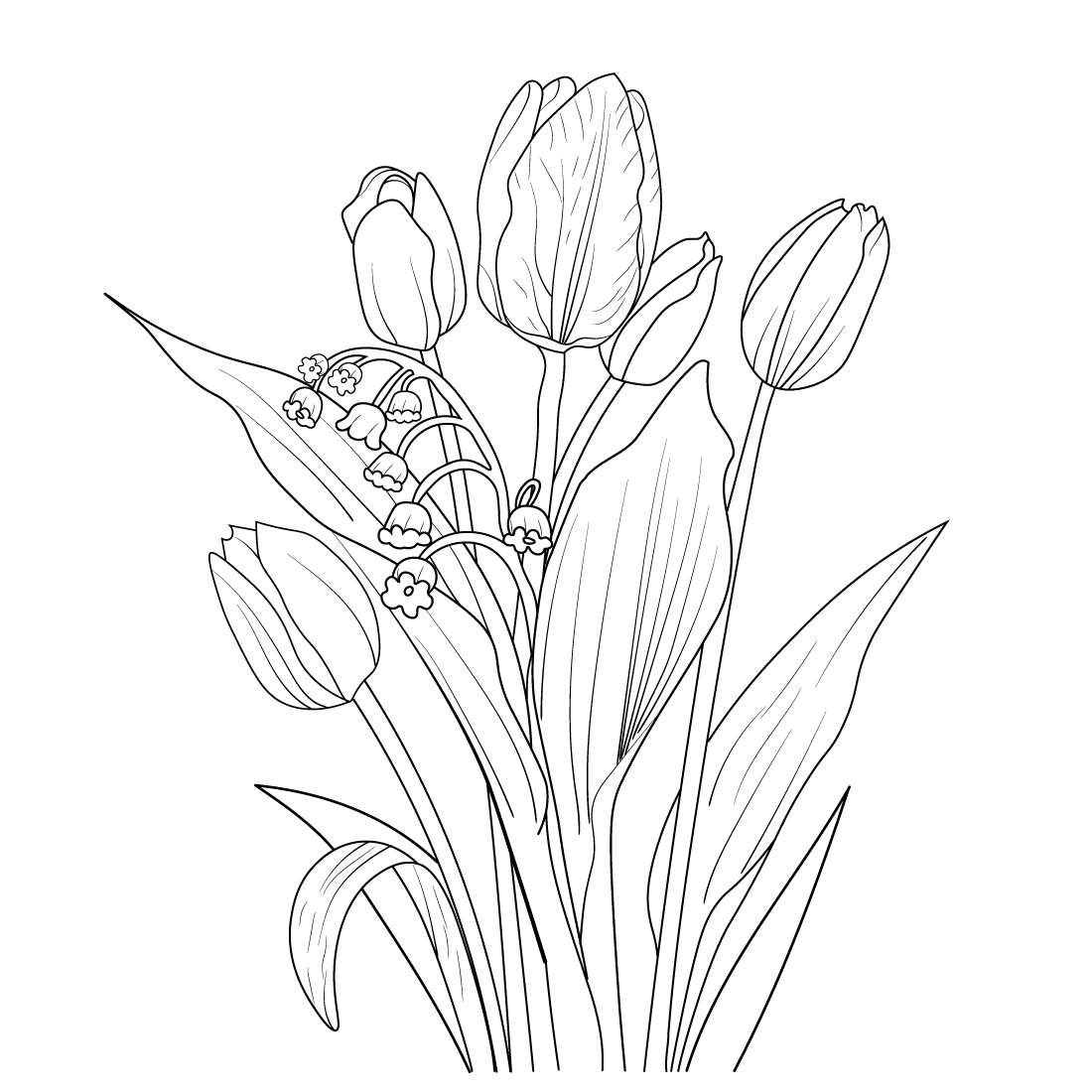 tulip flower, tulip flower bouquet, realistic tulip flower drawing, , outline tulip flower illustration preview image.