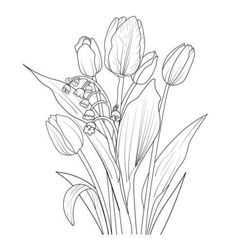 tulip flower, tulip flower bouquet, realistic tulip flower drawing, , outline tulip flower illustration cover image.