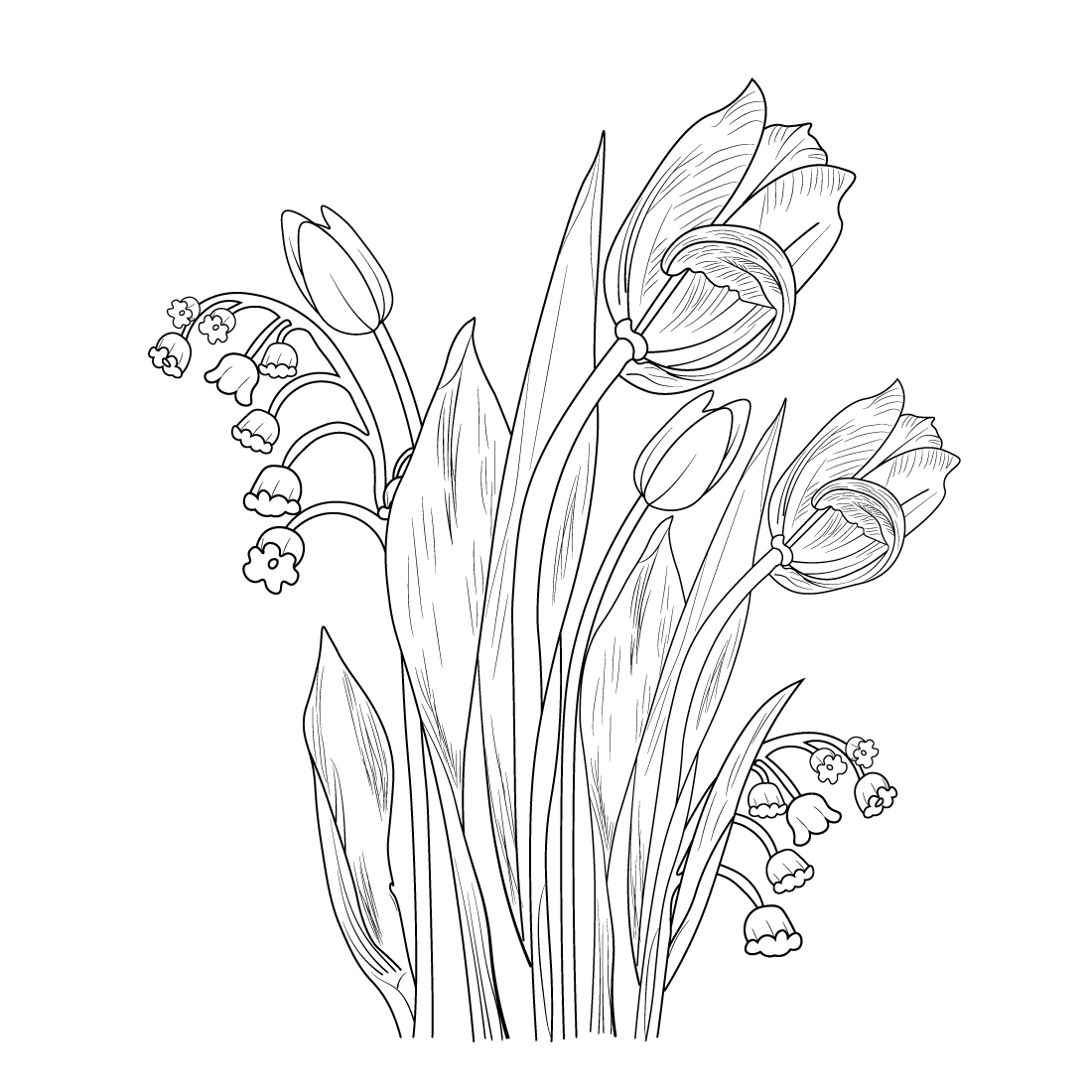 realistic tulip outline, tulip drawing for kids, pencil tulip drawing, simple tulip line drawing preview image.