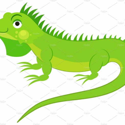 Cute green iguana isolated on white cover image.