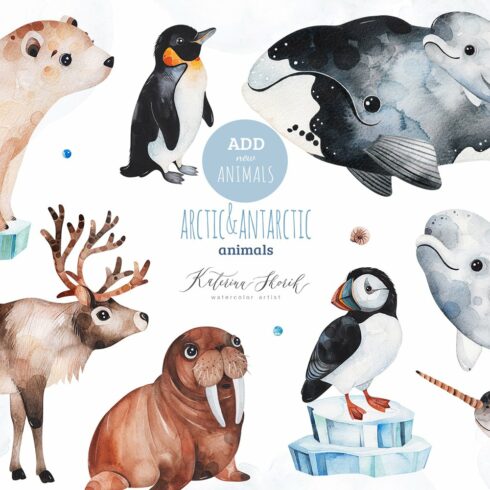 Arctic&Antarctic animals cover image.