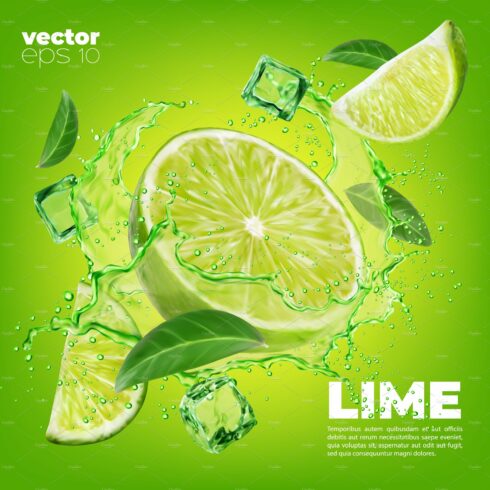 Lime fruit slice, leaves and splash cover image.
