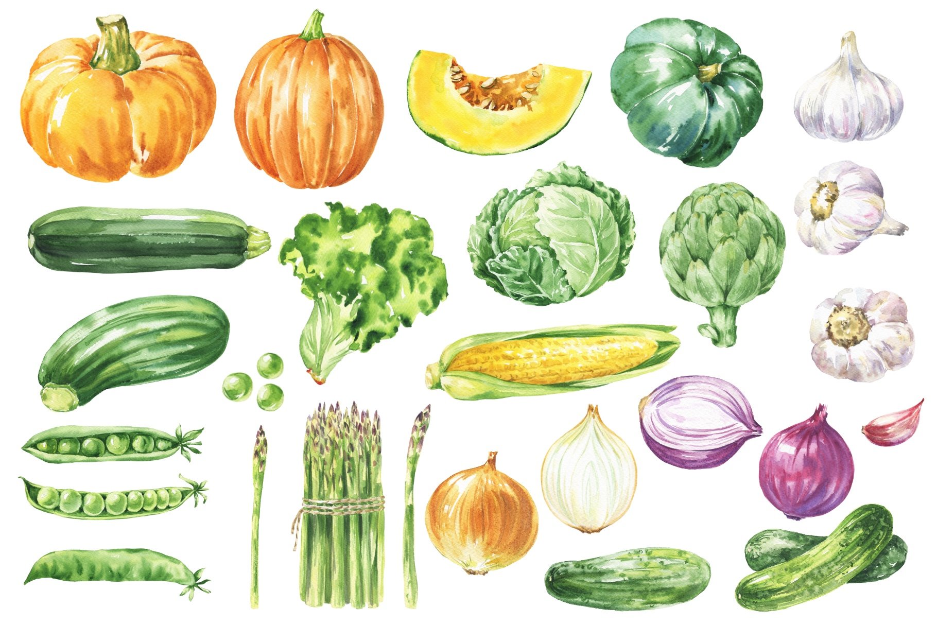 Watercolour Vegetables preview image.
