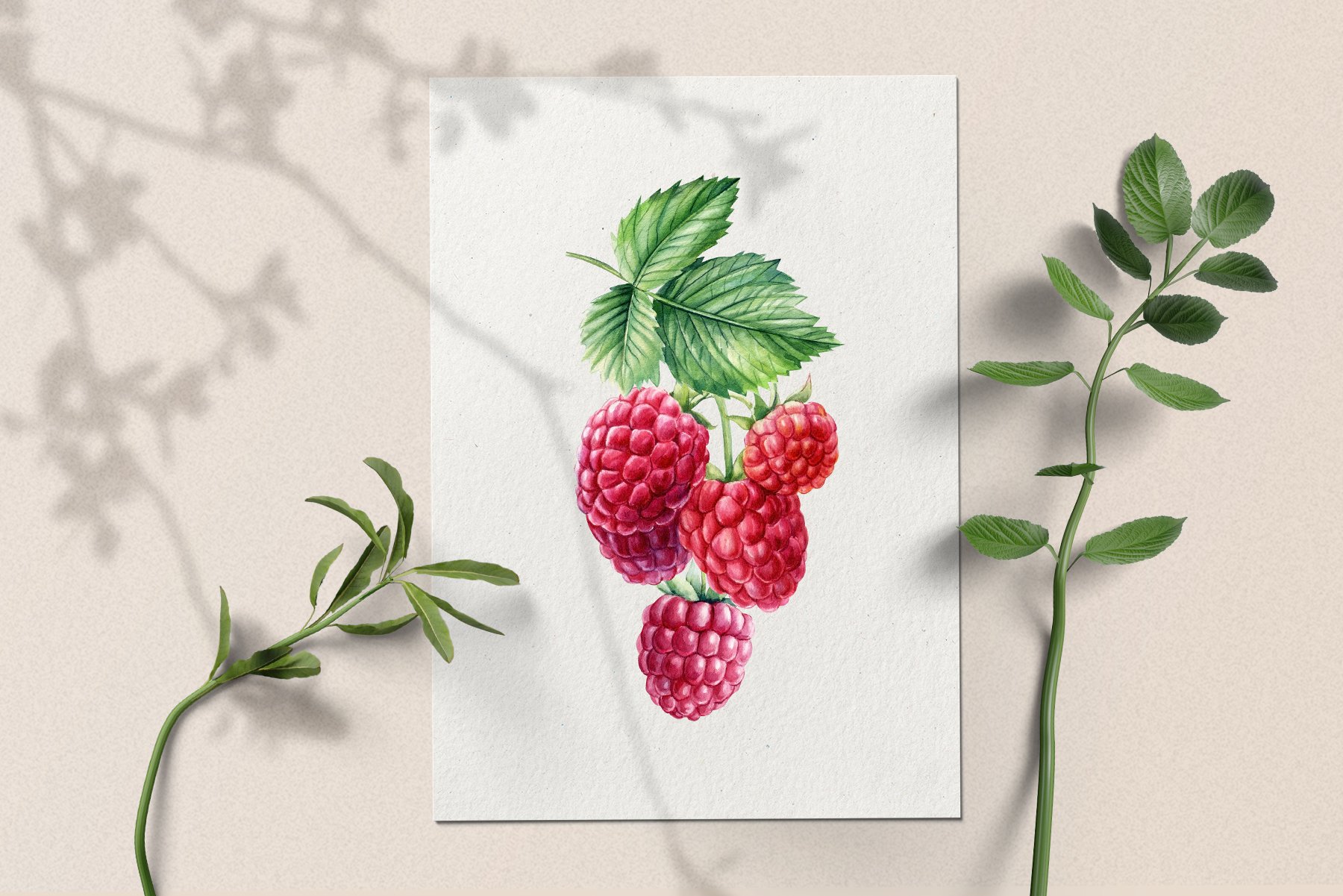 Watercolor Fresh Berries preview image.