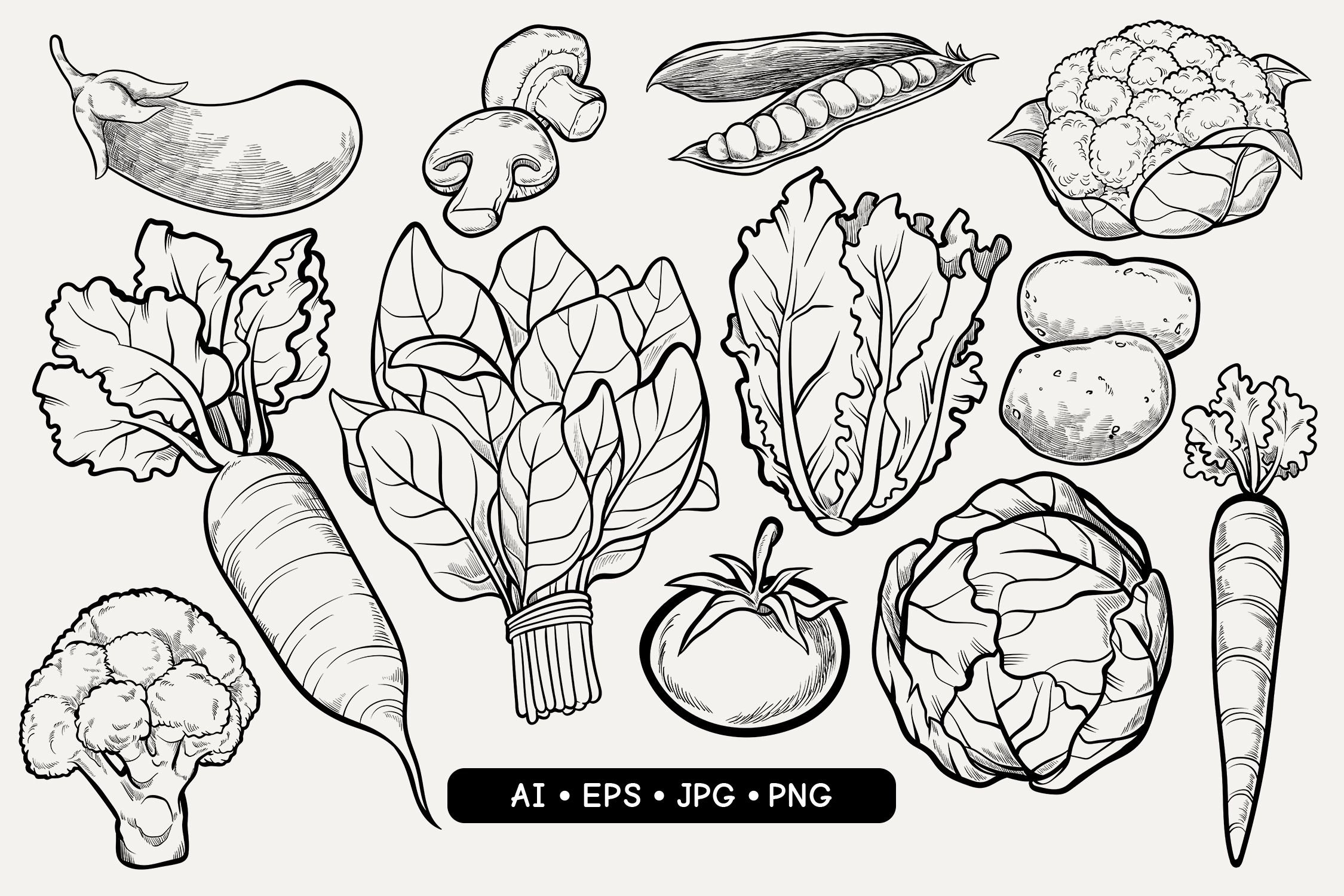 Hand Drawn Vegetables cover image.