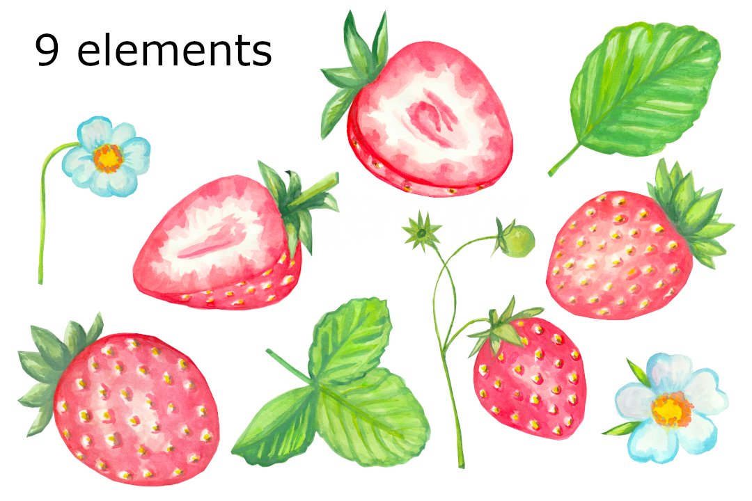 Strawberry watercolor clipart preview image.