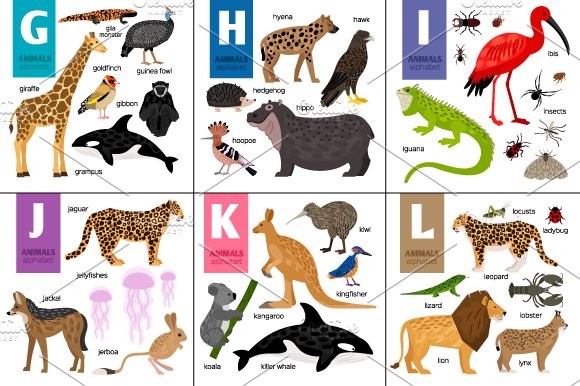 Alphabet with Animals preview image.