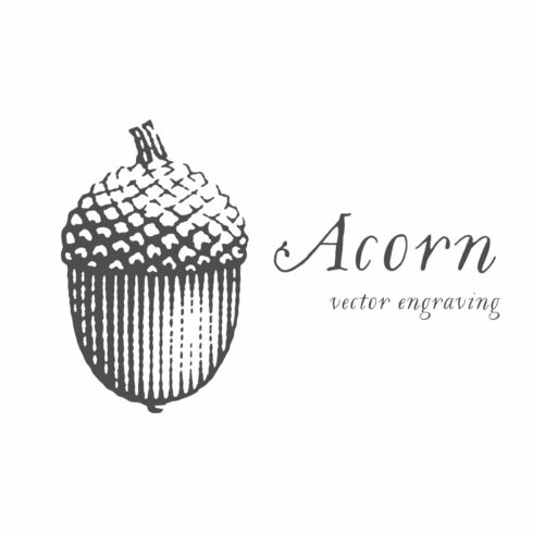 Acorn cover image.