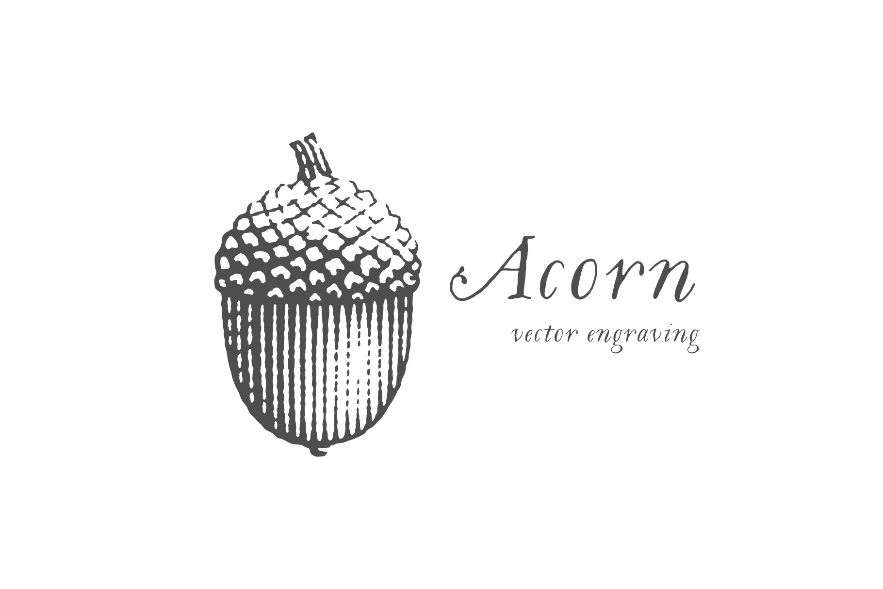 Acorn cover image.