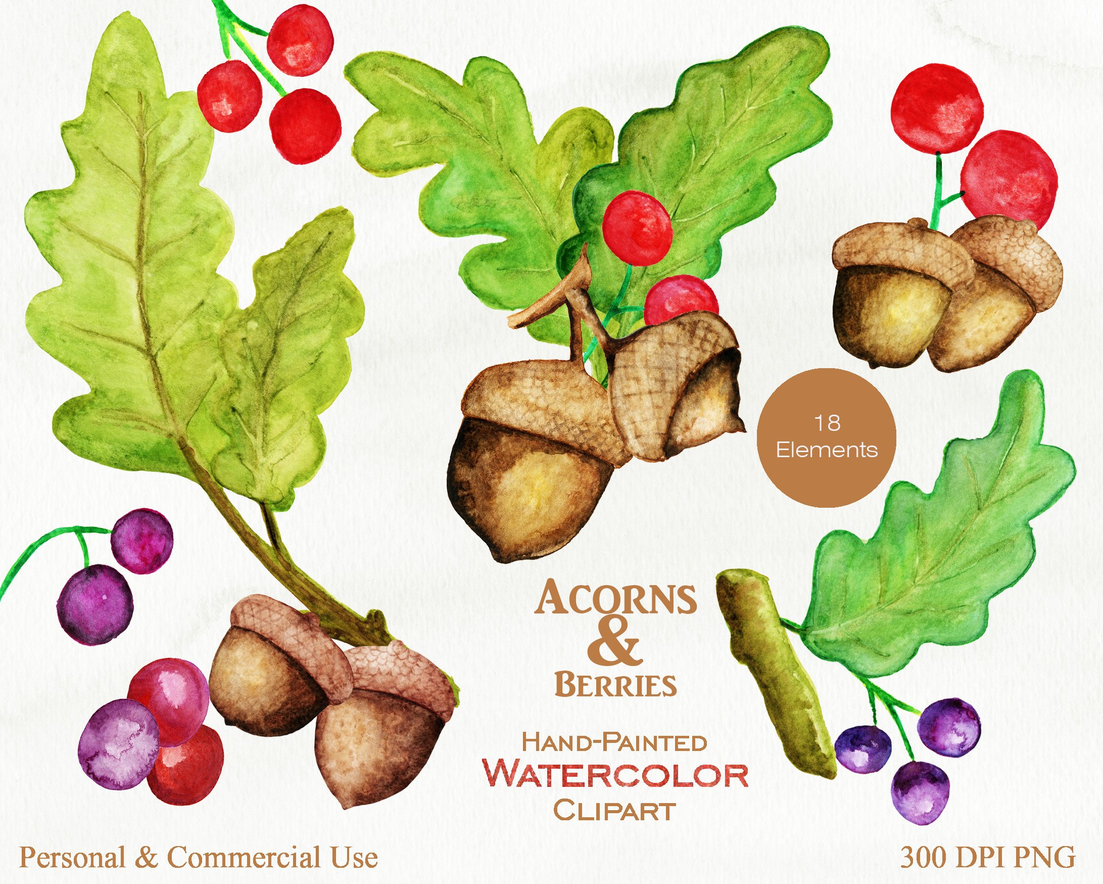 acorn berries autumn watercolor clip art set 28229 999