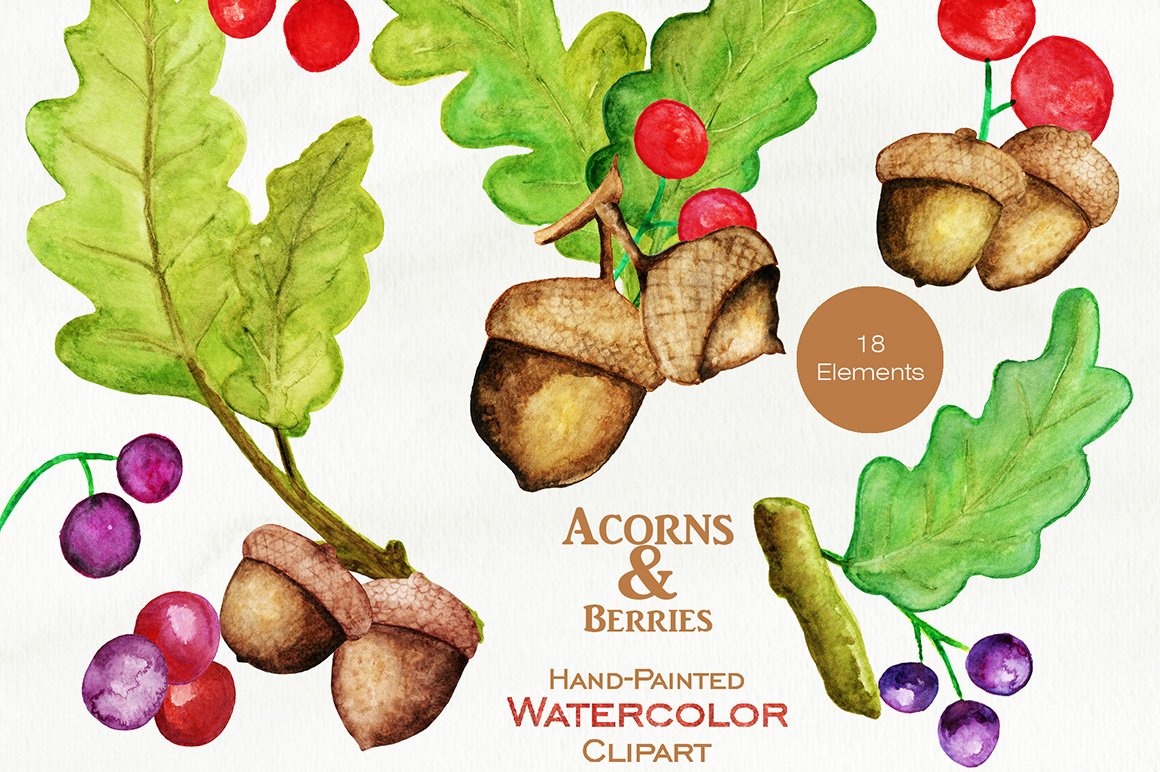 Autumn Watercolor Acorn Graphics preview image.