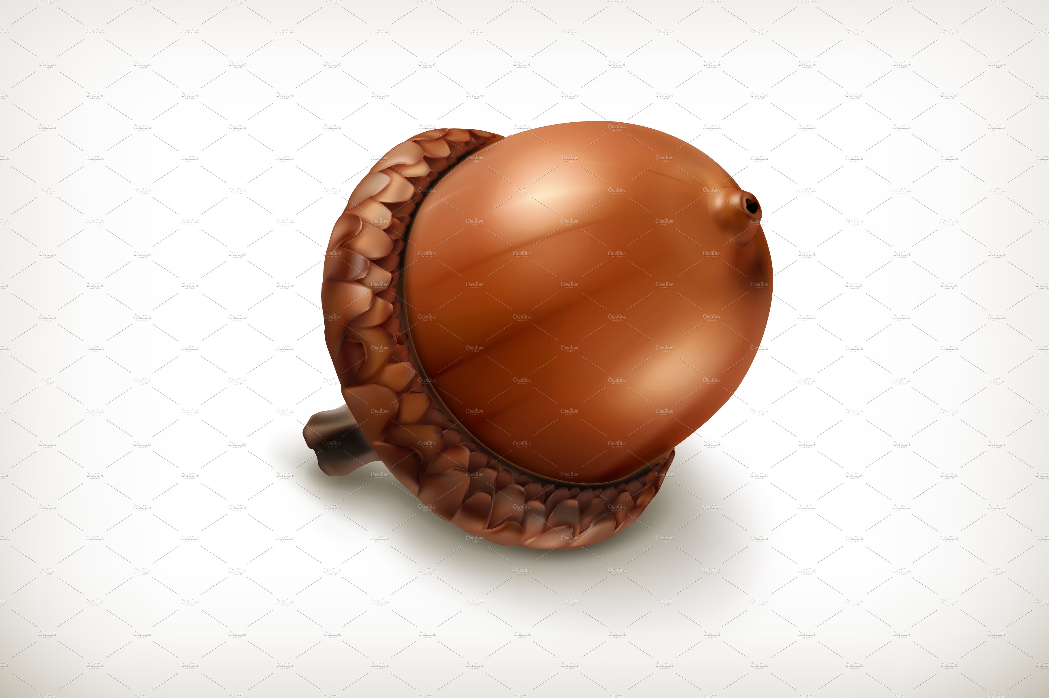 Acorn vector icon cover image.