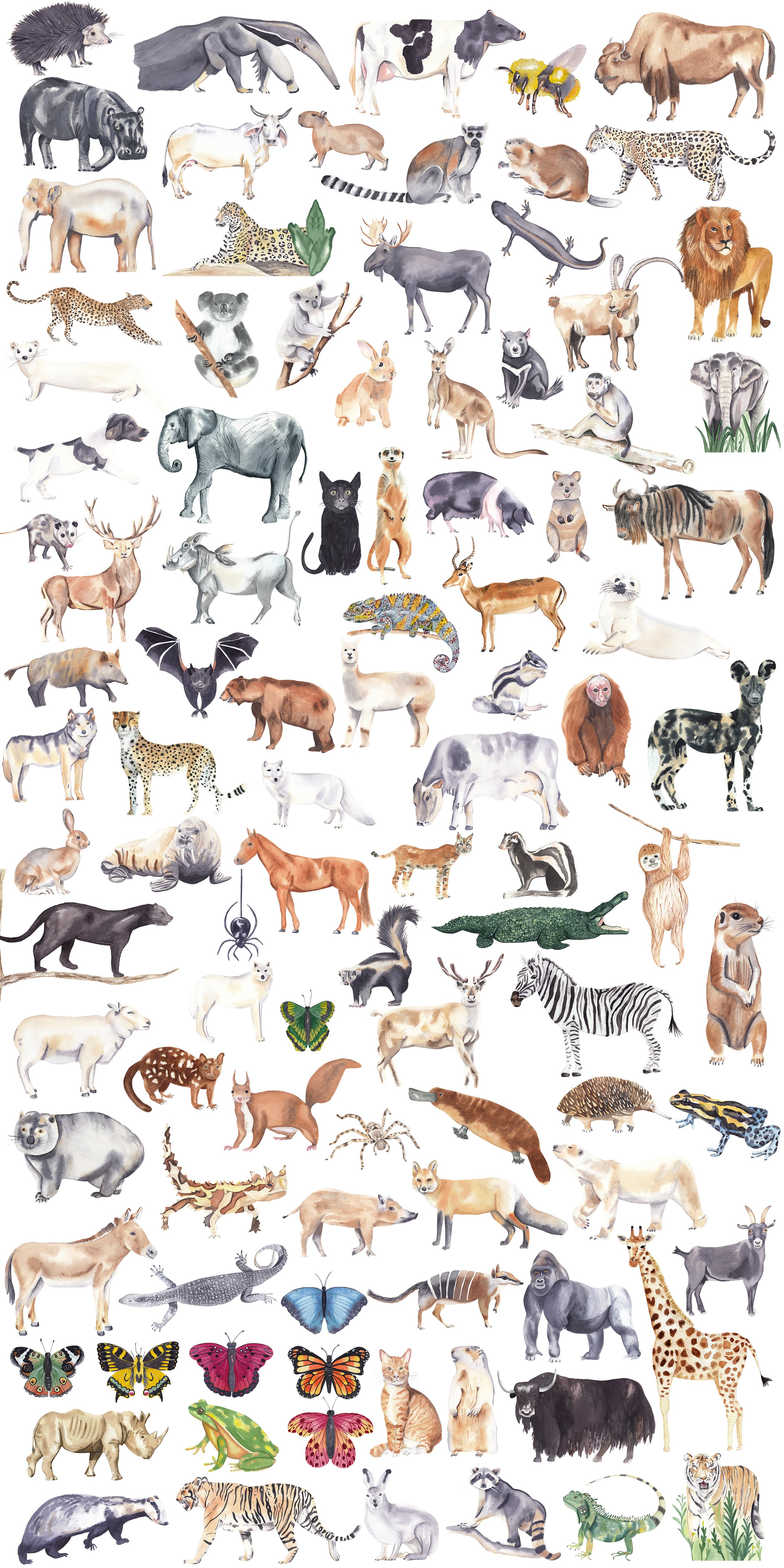 Watercolor Animals Bundle & Maps! preview image.
