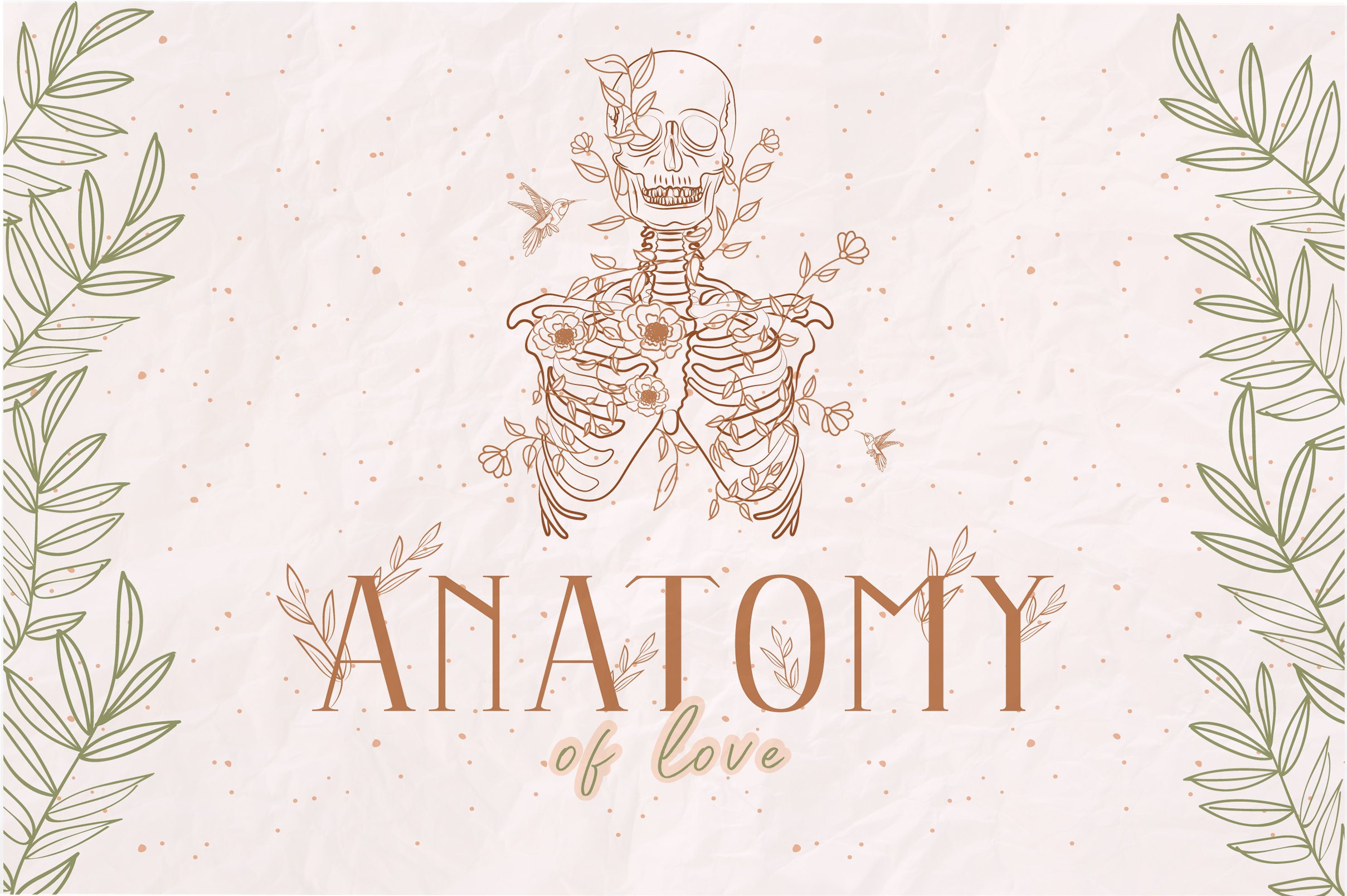 anatomy love 643