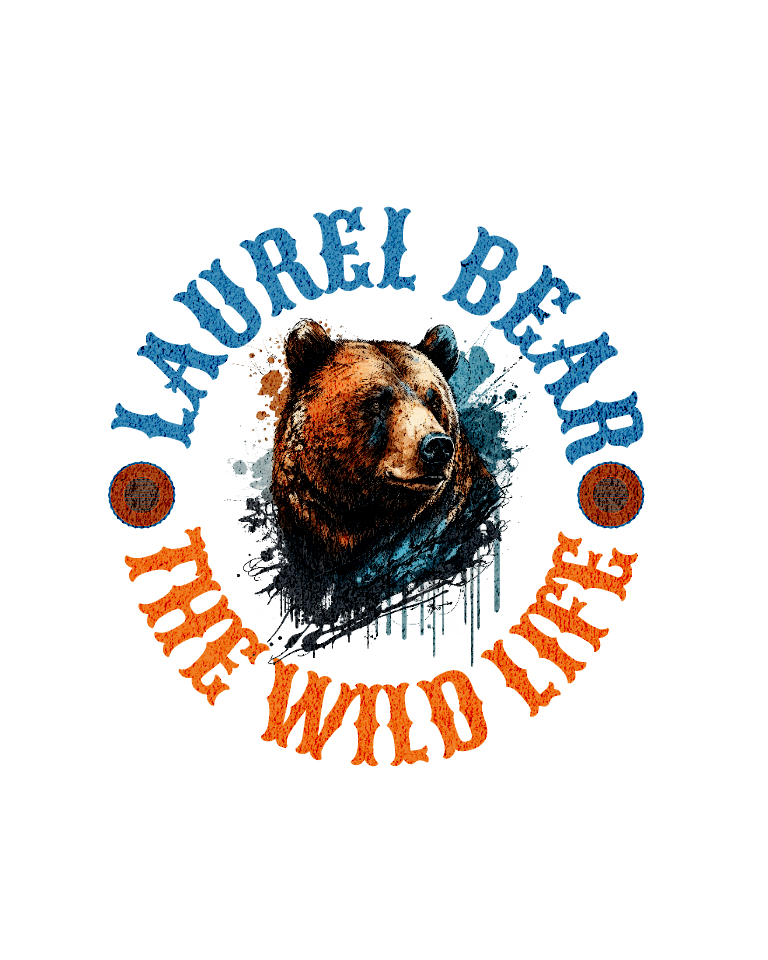 angry bear wild life animal 791