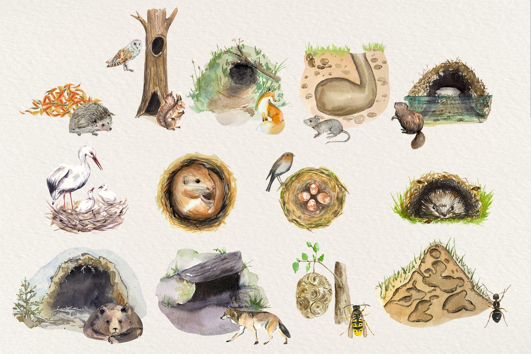 Animal Homes - Watercolor Clip Arts preview image.