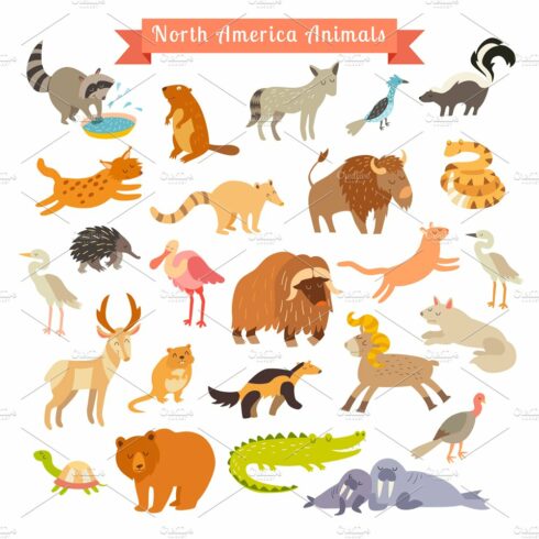 North America animals cover image.