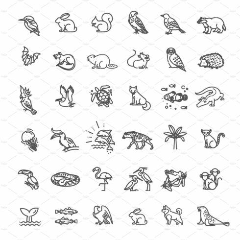 Animal icons. cover image.