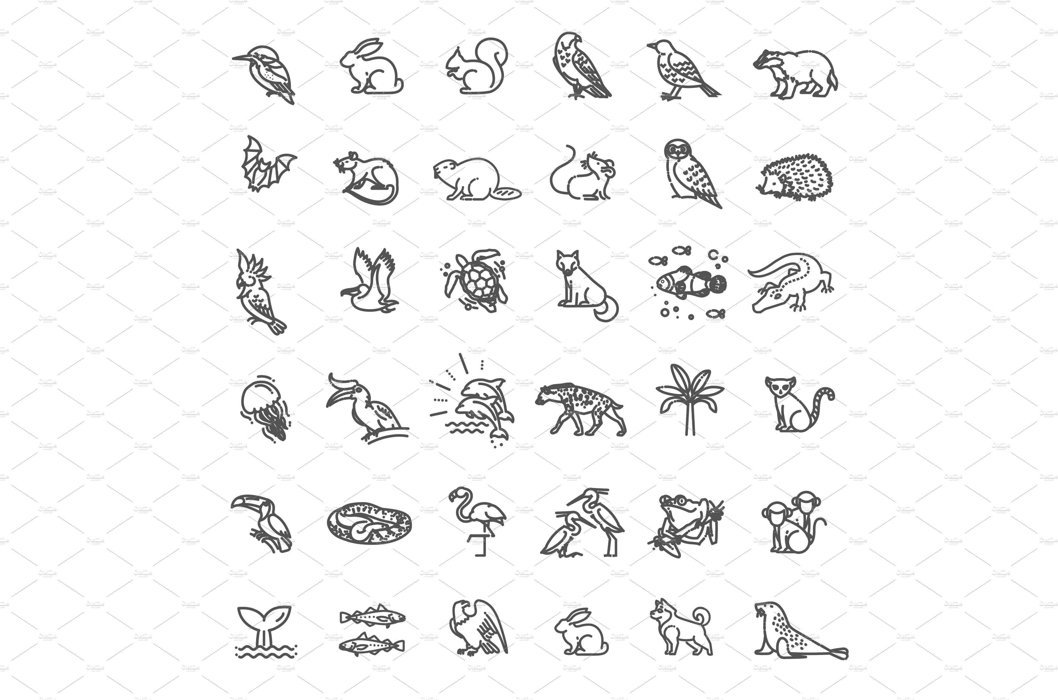 Animal icons. cover image.