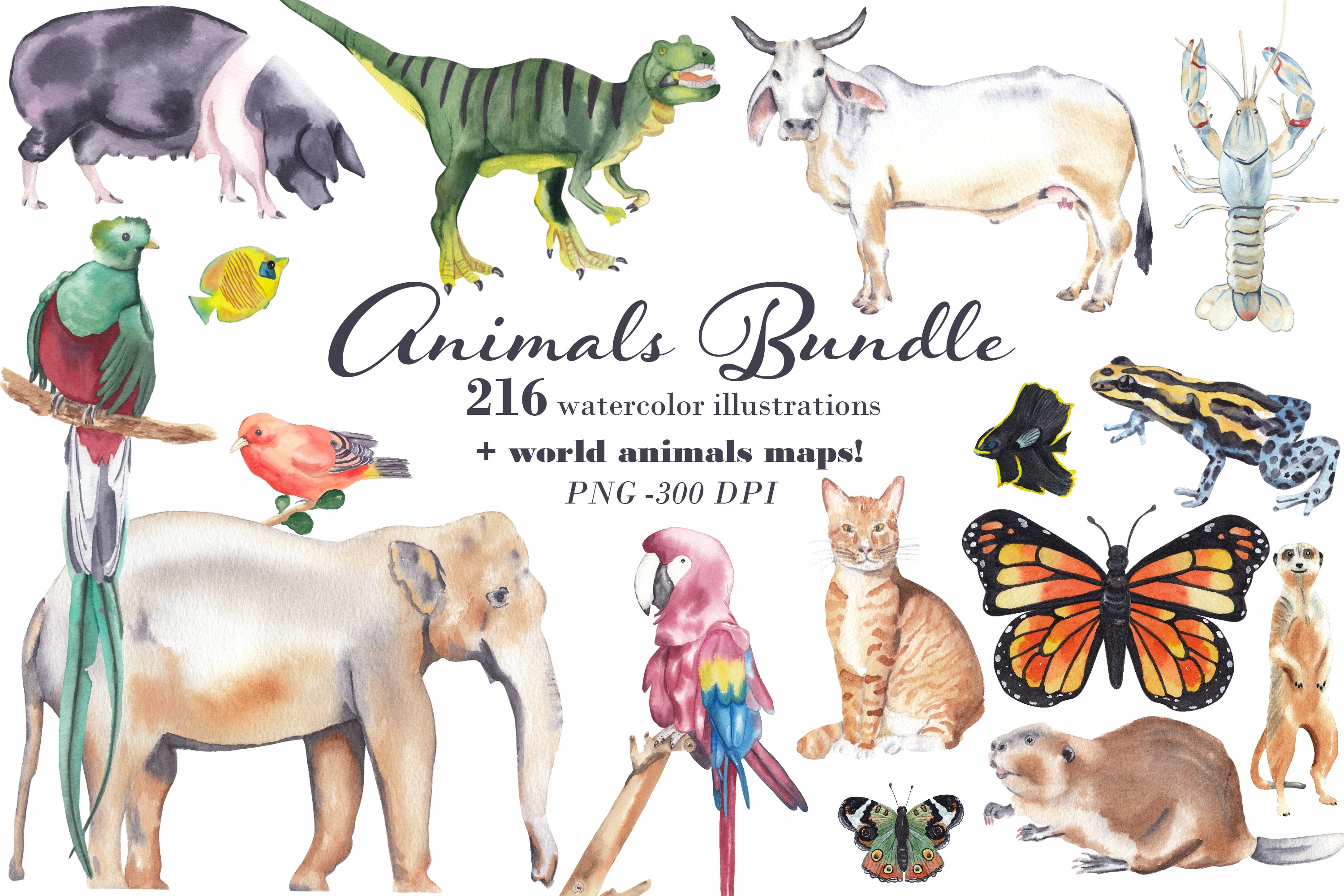 Watercolor Animals Bundle & Maps! cover image.