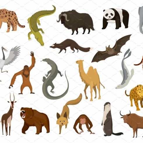 Collection of cute vector cover image.