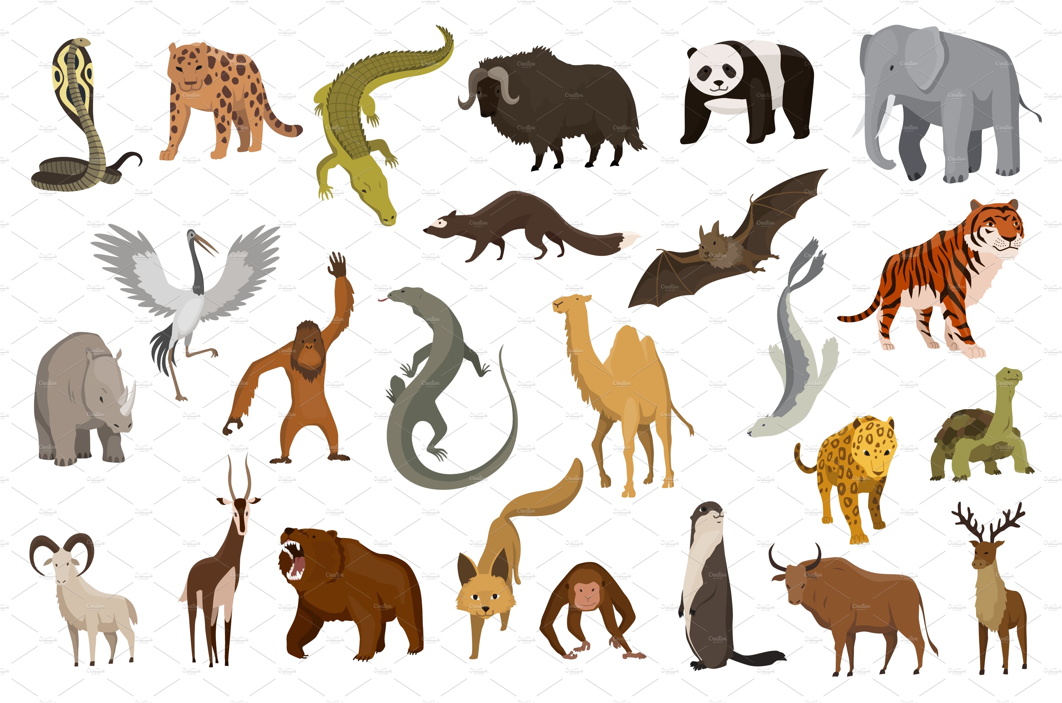 Collection of cute vector cover image.