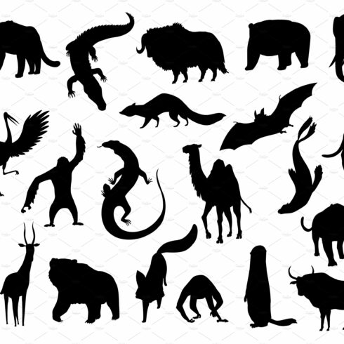 Collection of cute vector cover image.