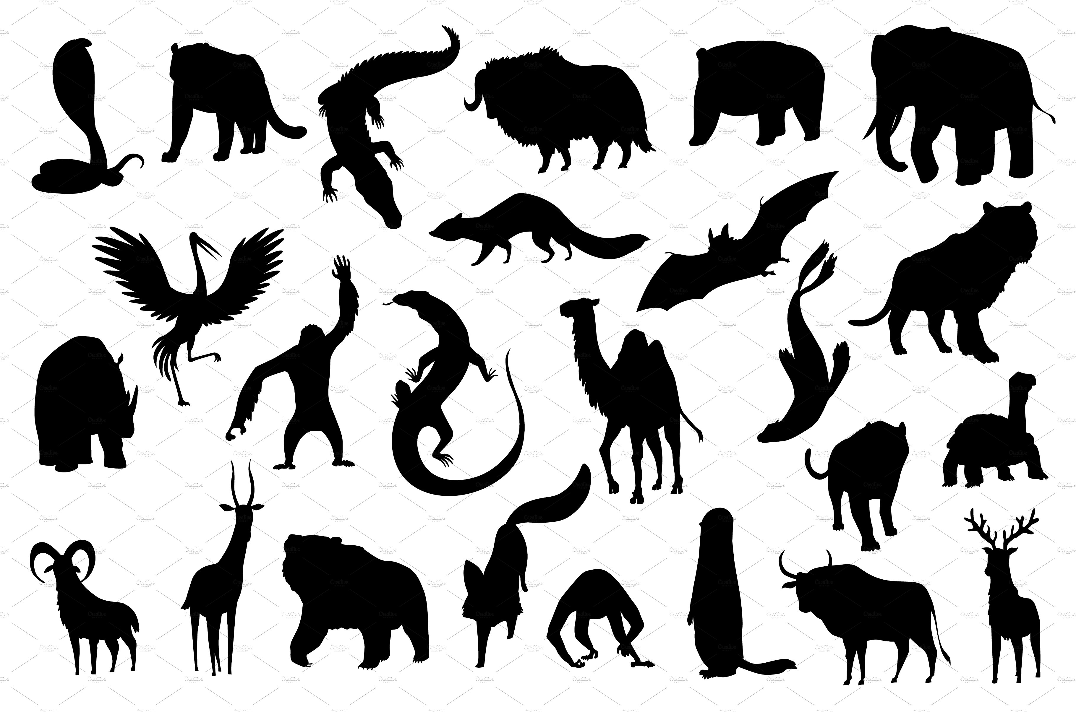 Collection of cute vector cover image.