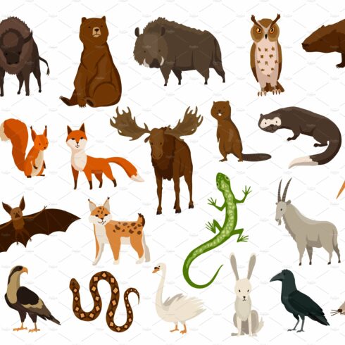 Animals of europe. Nature cover image.