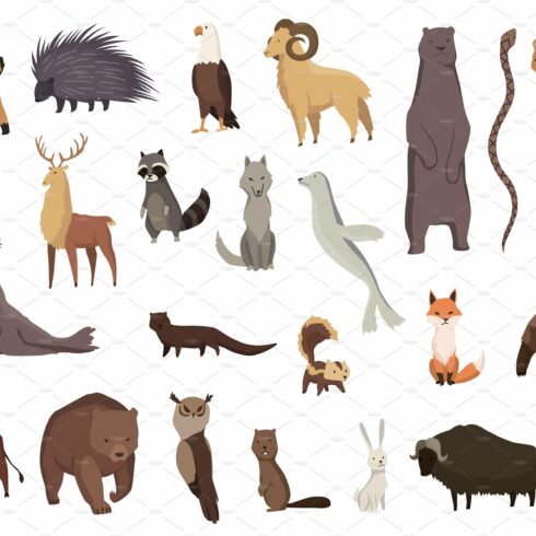 Animals of north america cover image.