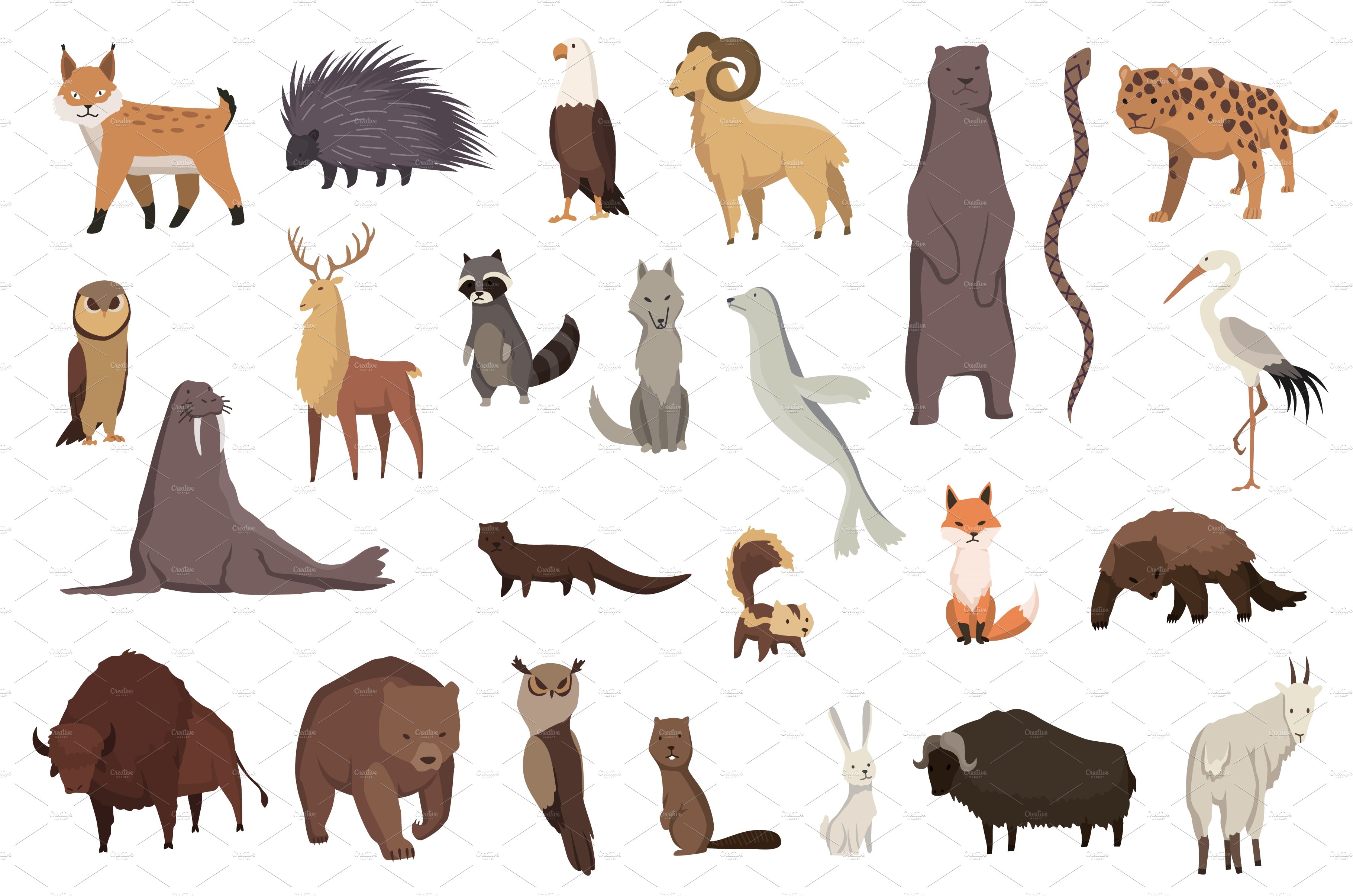 Animals of north america cover image.
