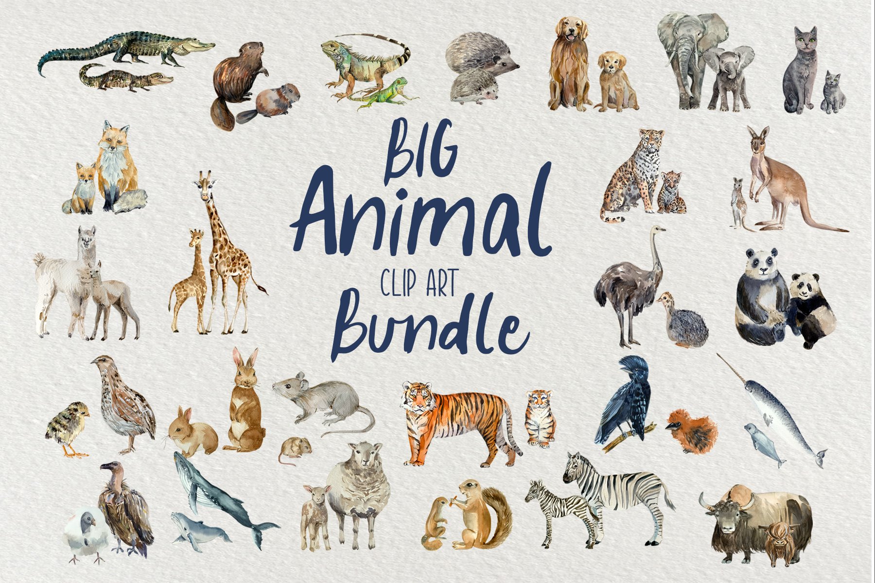 Big Animal Clip Art Bundle cover image.