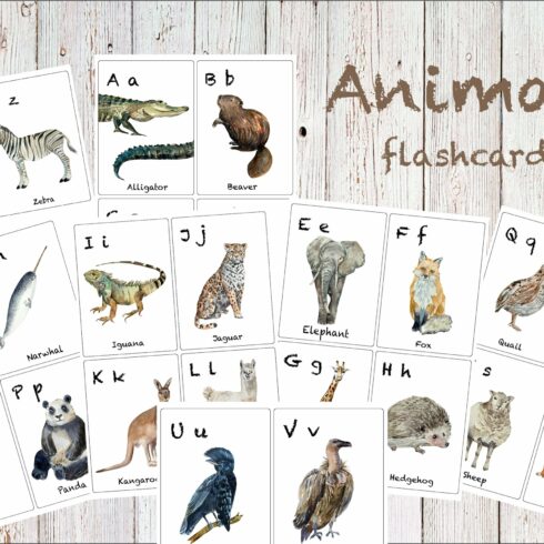 Watercolor ABC Animals Flashcards cover image.