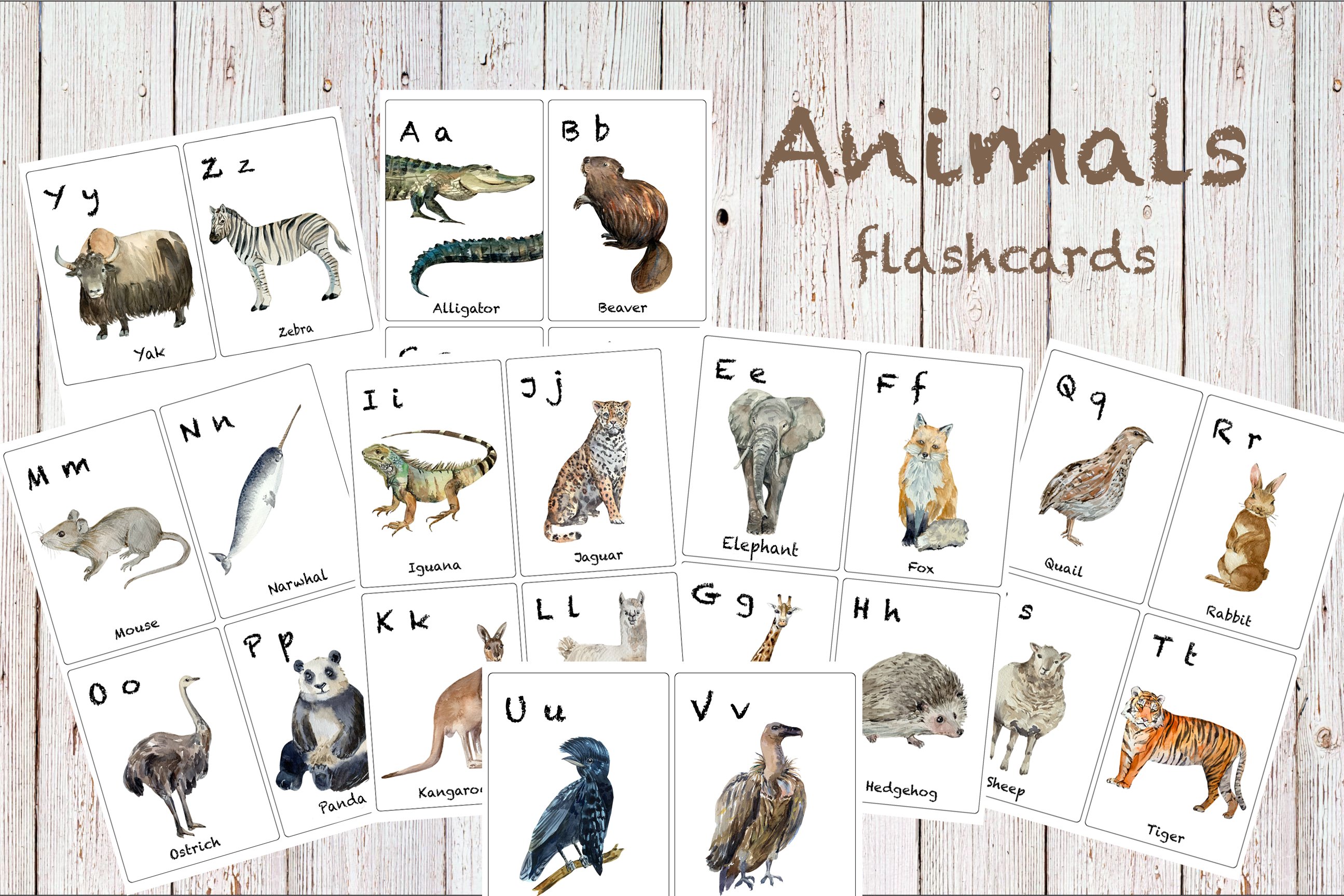 Watercolor ABC Animals Flashcards cover image.