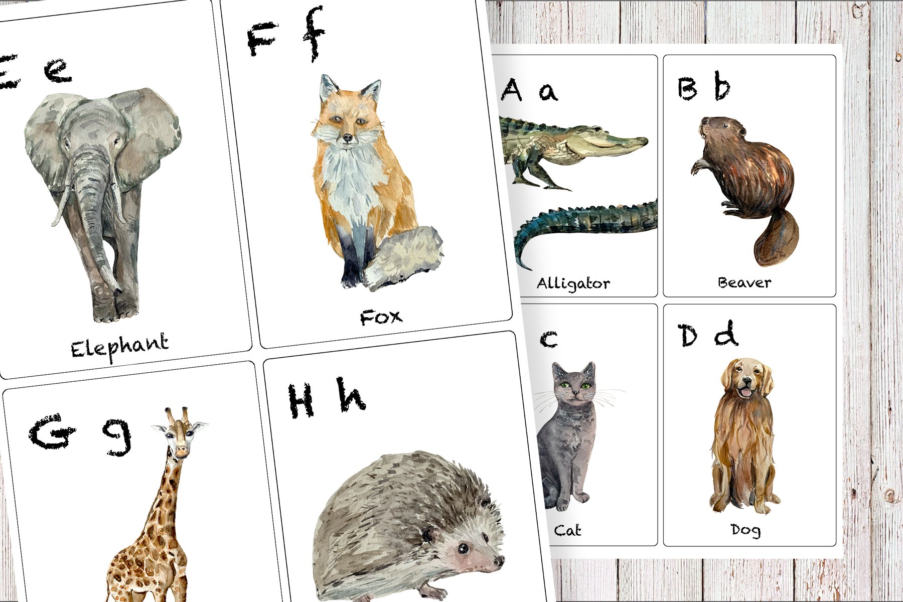 Watercolor ABC Animals Flashcards preview image.