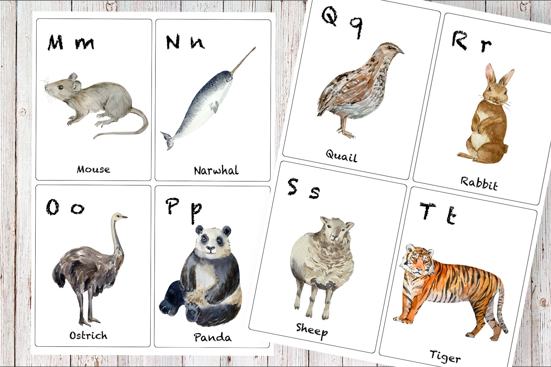 animals flashcards c3 695