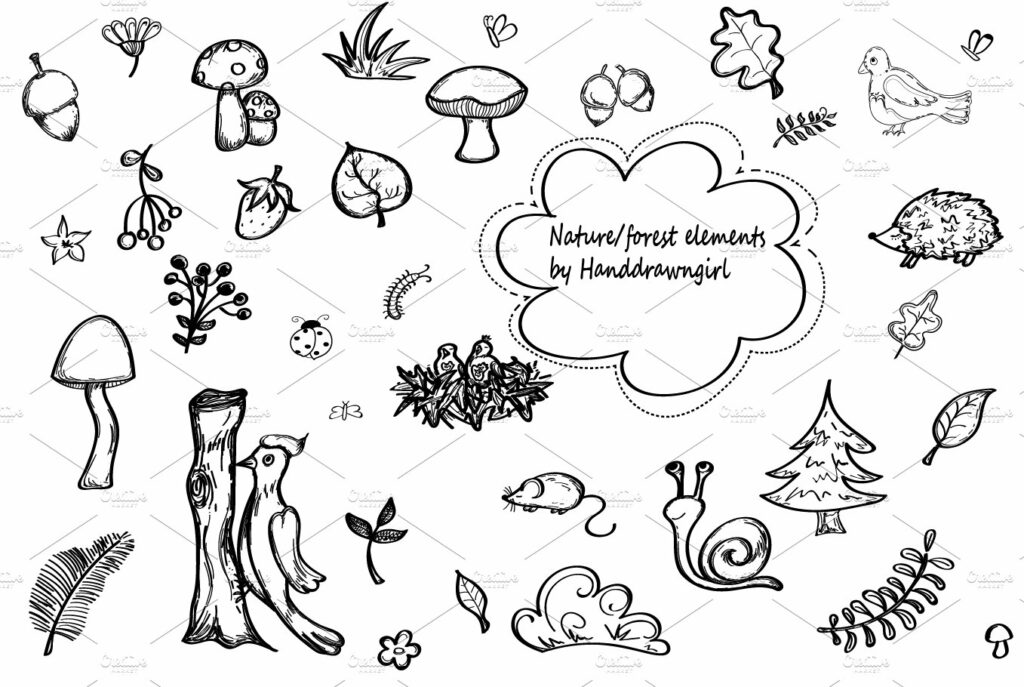 Nature/forest hand drawn elements – MasterBundles