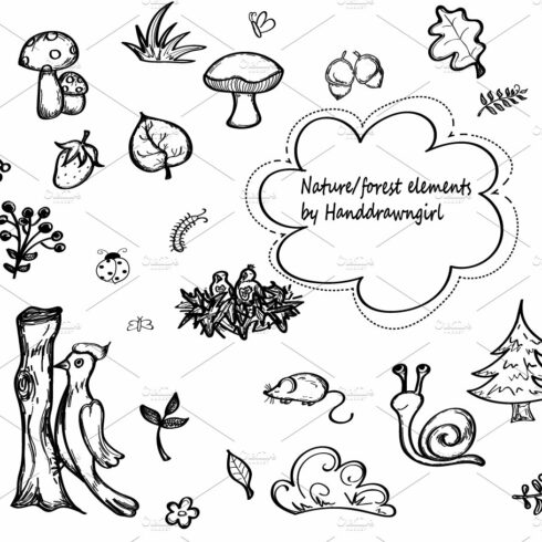 Nature/forest hand drawn elements cover image.