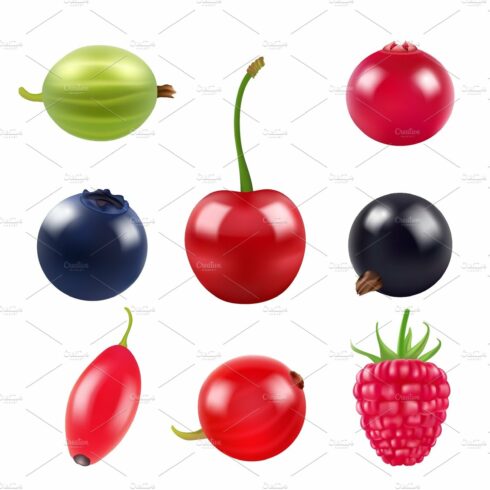 Realistic pictures of berries cover image.