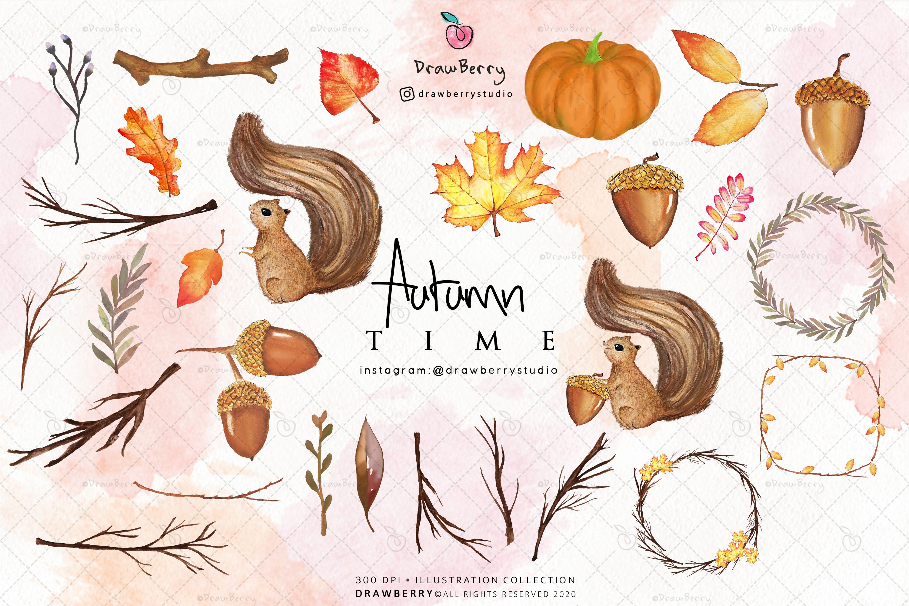 Watercolor Fall Autumn Clipart CP008 preview image.