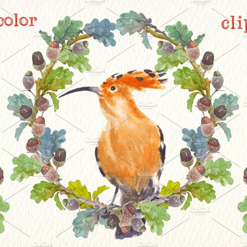 live the forest watercolor clipart cover image.
