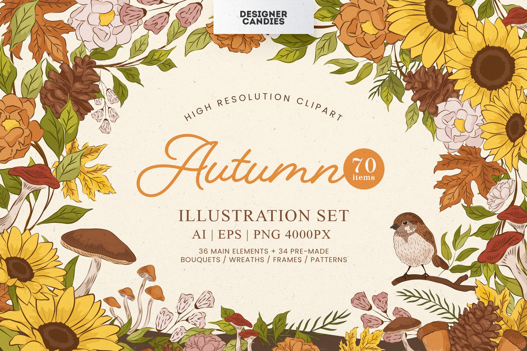 Fall Autumn Illustrations Set cover image.